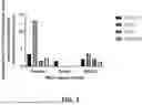 Fig. 02 - COMPOSITIONS, SYSTEMS, AND METHODS FOR TREATING CANCER USING TUMOR TREATING FIELDS AND CHIMERIC ANTIGEN RECEPTOR (CAR)-IMMUNE CELLS