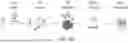 Fig. 40 - MODIFIED IMMUNE CELLS AND METHODS OF USING THE SAME