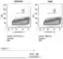 Fig. 59 - MODIFIED IMMUNE CELLS AND METHODS OF USING THE SAME