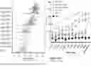 Fig. 40 - CHIMERIC ANTIGEN RECEPTOR (CAR)-T SIGNALING OPTIMIZATION FOR TUNING ANTIGEN ACTIVATION THRESHOLD