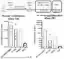 Fig. 49 - CHIMERIC ANTIGEN RECEPTOR (CAR)-T SIGNALING OPTIMIZATION FOR TUNING ANTIGEN ACTIVATION THRESHOLD