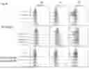 Fig. 71 - CHIMERIC ANTIGEN RECEPTOR (CAR)-T SIGNALING OPTIMIZATION FOR TUNING ANTIGEN ACTIVATION THRESHOLD