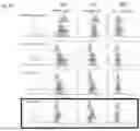Fig. 77 - CHIMERIC ANTIGEN RECEPTOR (CAR)-T SIGNALING OPTIMIZATION FOR TUNING ANTIGEN ACTIVATION THRESHOLD