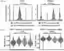 Fig. 03 - COMPOSITIONS AND METHODS COMPRISING CAR T CELLS COMPRISING PRDM1 AND/OR NR4A3 KNOCKOUT