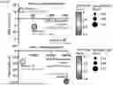 Fig. 41 - COMPOSITIONS AND METHODS COMPRISING CAR T CELLS COMPRISING PRDM1 AND/OR NR4A3 KNOCKOUT