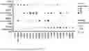 Fig. 43 - COMPOSITIONS AND METHODS COMPRISING CAR T CELLS COMPRISING PRDM1 AND/OR NR4A3 KNOCKOUT
