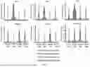 Fig. 44 - COMPOSITIONS AND METHODS COMPRISING CAR T CELLS COMPRISING PRDM1 AND/OR NR4A3 KNOCKOUT