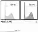 Fig. 45 - COMPOSITIONS AND METHODS COMPRISING CAR T CELLS COMPRISING PRDM1 AND/OR NR4A3 KNOCKOUT