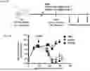 Fig. 46 - COMPOSITIONS AND METHODS COMPRISING CAR T CELLS COMPRISING PRDM1 AND/OR NR4A3 KNOCKOUT