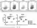 Fig. 52 - COMPOSITIONS AND METHODS COMPRISING CAR T CELLS COMPRISING PRDM1 AND/OR NR4A3 KNOCKOUT