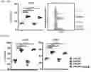 Fig. 53 - COMPOSITIONS AND METHODS COMPRISING CAR T CELLS COMPRISING PRDM1 AND/OR NR4A3 KNOCKOUT