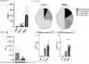 Fig. 70 - COMPOSITIONS AND METHODS COMPRISING CAR T CELLS COMPRISING PRDM1 AND/OR NR4A3 KNOCKOUT