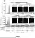 Fig. 09 - METHODS AND COMPOSITIONS FOR TREATING EPSTEIN BARR VIRUS-ASSOCIATED CANCER