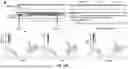 Fig. 35 - METHODS AND COMPOSITIONS FOR TREATING EPSTEIN BARR VIRUS-ASSOCIATED CANCER