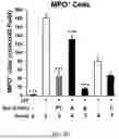 Fig. 08 - CATIONIC LIPID FOR COVALENT MODIFICATION OF PEPTIDES