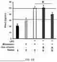 Fig. 16 - CATIONIC LIPID FOR COVALENT MODIFICATION OF PEPTIDES