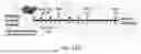Fig. 29 - CATIONIC LIPID FOR COVALENT MODIFICATION OF PEPTIDES