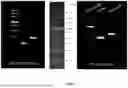 Fig. 02 - Therapeutic Compounds for Inhibiting and Reducing the Expression of Cell Surface Proteins