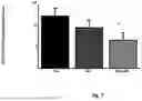 Fig. 08 - Therapeutic Compounds for Inhibiting and Reducing the Expression of Cell Surface Proteins