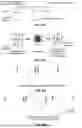 Fig. 02 - COMBINATION TREATMENT FOR SOLID TUMORS INCLUDING A STING AGONIST AND A CCR2 ANTAGONIST