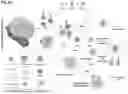 Fig. 07 - COMBINATION TREATMENT FOR SOLID TUMORS INCLUDING A STING AGONIST AND A CCR2 ANTAGONIST