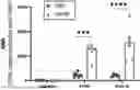 Fig. 01 - CELL THERAPY