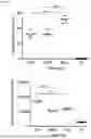 Fig. 08 - CELL THERAPY
