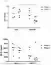 Fig. 09 - CELL THERAPY