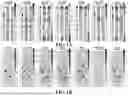 Fig. 02 - ENGINEERED TARGETING COMPOSITIONS FOR ENDOTHELIAL CELLS OF THE CENTRAL NERVOUS SYSTEM VASCULATURE AND METHODS OF USE THEREOF