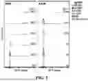Fig. 08 - ENGINEERED TARGETING COMPOSITIONS FOR ENDOTHELIAL CELLS OF THE CENTRAL NERVOUS SYSTEM VASCULATURE AND METHODS OF USE THEREOF