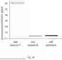 Fig. 22 - Gene therapy DNA vector based on gene therapy DNA vector VTvaf17 carrying the therapeutic gene selected from the group of BDNF, VEGFA, BFGF, NGF, GDNF, NT3, CNTF, and IGF1 genes for increasing the expression level of these therapeutic genes, method of its production and use, Escherichia coli strain SCS110-AF/VTvaf17-BDNF, or Escherichia coli strain SCS110-AF/VTvaf17-VEGFA, or Escherichia coli strain SCS110-AF/VTvaf17-BFGF, or Escherichia coli strain SCS110-AF/VTvaf17-NGF, or Escherichia coli str