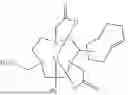 Fig. 40 - LABELING OF ANTIBODIES