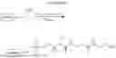 Fig. 96 - LABELING OF ANTIBODIES