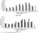 Fig. 08 - MINERAL-COATED SUBSTRATES FOR STABILIZATION OF RNA-BASED THERAPEUTIC COMPOSITIONS