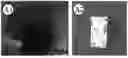 Fig. 01 - LARGE APERTURE-BASED TISSUE ENGINEERING SCAFFOLD AND USE THEREOF