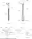 Fig. 07 - EXOSTRUCTURE TO ASSIST IN ACCURATE SYRINGE INJECTION