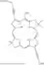 Fig. 07 - DNA TEMPLATING OF DYES INTO LONG POLYMER DYE AGGREGATES (SUPERDYES) USING MONOMER OR AGGREGATE SUB-UNITS