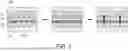 Fig. 02 - CELL CULTURE MEMBRANE AND METHOD FOR PRODUCING BIOLOGICAL TISSUE