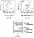 Fig. 16 - Electrocatalytic Conversion of Nitrates and Nitrites to Ammonia