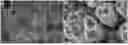 Fig. 01 - Oxygen evolution reaction electrode catalyst assembly comprising dendritic nickel foam, its use and a method to produce said assembly