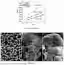 Fig. 08 - Oxygen evolution reaction electrode catalyst assembly comprising dendritic nickel foam, its use and a method to produce said assembly