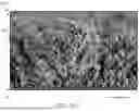 Fig. 04 - DURABLE POROUS STRUCTURES AND ELECTRONICS DEVICES INCORPORATING THE SAME