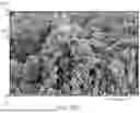 Fig. 05 - DURABLE POROUS STRUCTURES AND ELECTRONICS DEVICES INCORPORATING THE SAME
