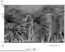 Fig. 06 - DURABLE POROUS STRUCTURES AND ELECTRONICS DEVICES INCORPORATING THE SAME