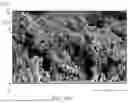 Fig. 07 - DURABLE POROUS STRUCTURES AND ELECTRONICS DEVICES INCORPORATING THE SAME