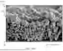 Fig. 08 - DURABLE POROUS STRUCTURES AND ELECTRONICS DEVICES INCORPORATING THE SAME