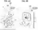 Fig. 09 - VEHICLE STRUCTURE