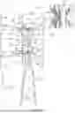 Fig. 02 - Vertical axis wind turbine with variable thickness blade
