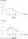 Fig. 07 - Dynamic belt tension inference method and related motor driven roller system