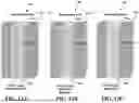 Fig. 13 - AIR CONDITIONING SYSTEM USING THERMALLY RESPONSIVE LIQUID DESICCANTS